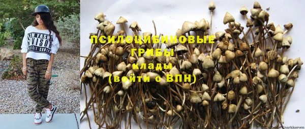мдпв Арсеньев