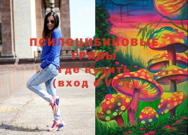 мдпв Арсеньев