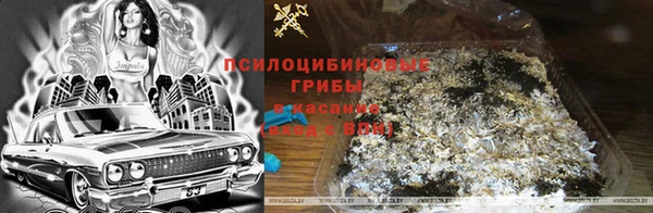мдпв Арсеньев