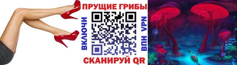 купить наркоту  Армянск  Псилоцибиновые грибы прущие грибы 