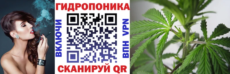 Шишки марихуана семена  Армянск 